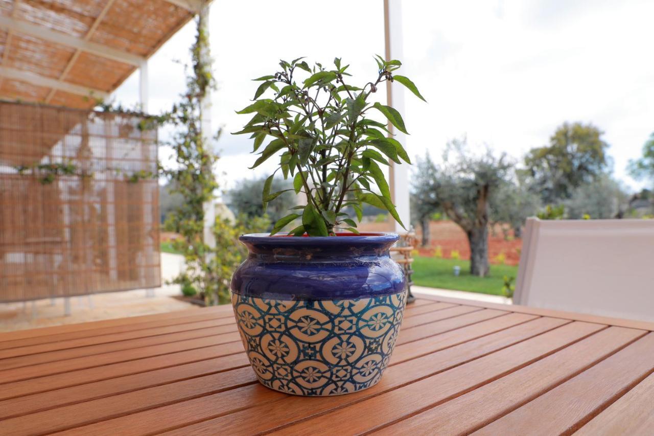 Tenuta Cesarina Alessano Extérieur photo