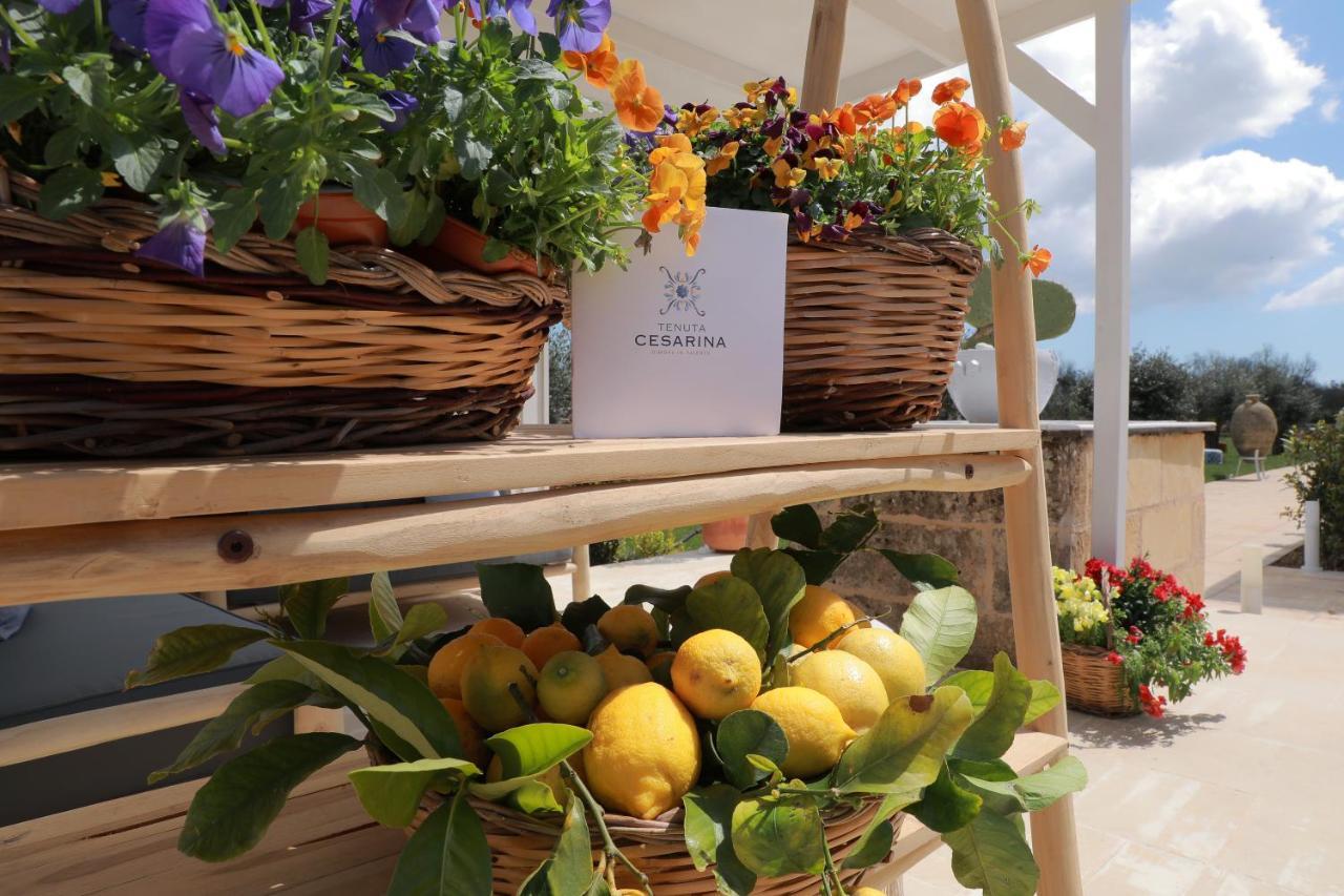 Tenuta Cesarina Alessano Extérieur photo