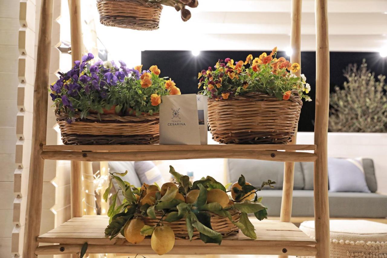 Tenuta Cesarina Alessano Extérieur photo
